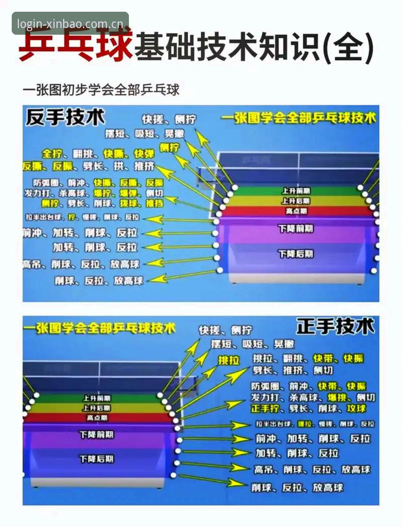 新宝体育用户必看：都灵德比战前必备观赛知识与分析技巧